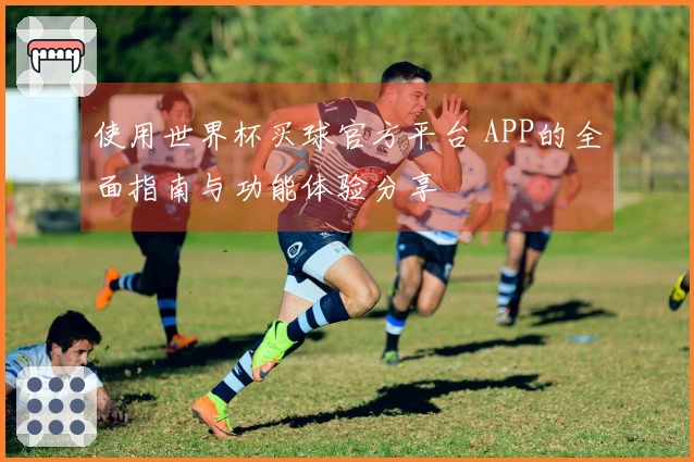 使用世界杯买球官方平台 APP的全面指南与功能体验分享
