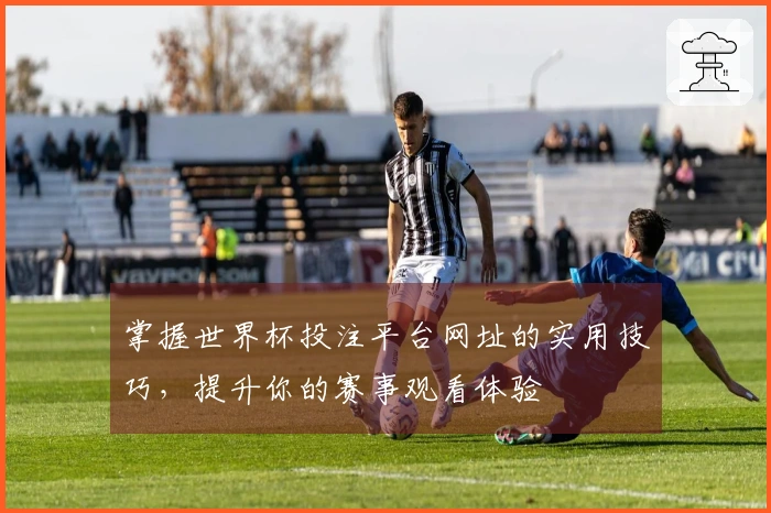 掌握世界杯投注平台网址的实用技巧，提升你的赛事观看体验