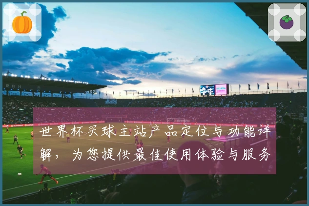 世界杯买球主站产品定位与功能详解，为您提供最佳使用体验与服务支持