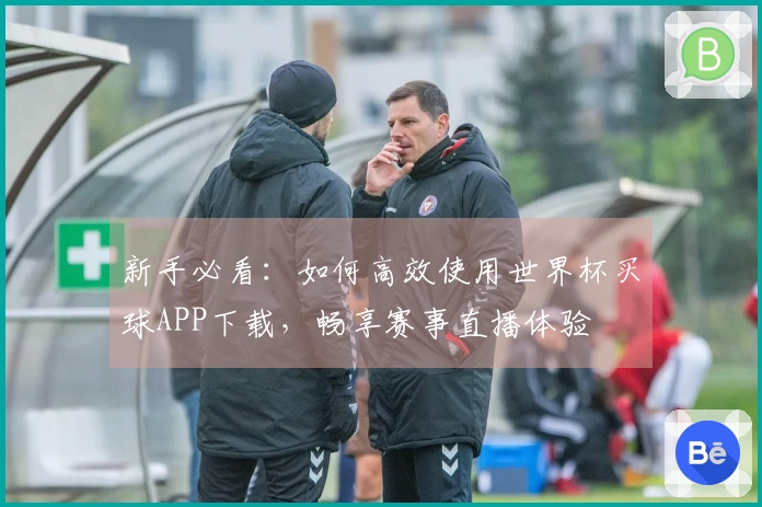 新手必看：如何高效使用世界杯买球APP下载，畅享赛事直播体验