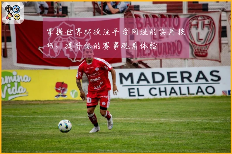 掌握世界杯投注平台网址的实用技巧，提升你的赛事观看体验